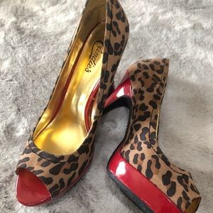 Candie’s leopard heals